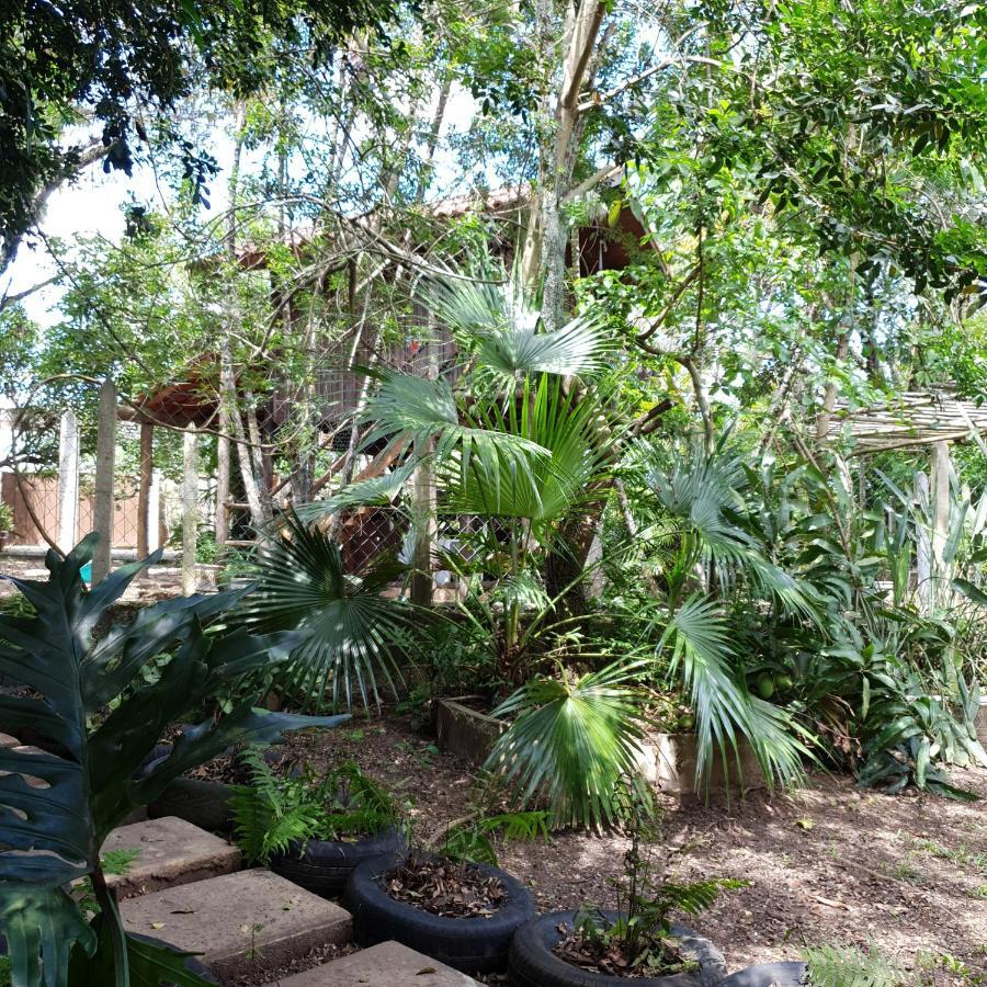 Cantinho Do Ceu - Espaco Ecologico Sao Pedro  Exteriör bild